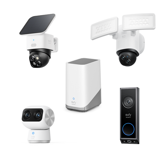 Dual Camera Bundle + HomeBase S380